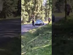 Roue perdu pour la Jaguar Mk 2 3.8 lors du Tour Auto 2025 #automobile  #racing