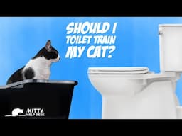 Should You Train Your Cat to Use a Toilet Instead of a Litter Box?