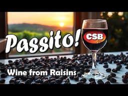 How We Made Passito: Italian Style Raisin Wine