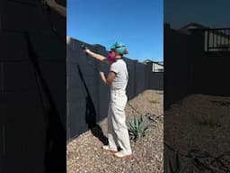 How To Paint a Cinder Block Fence with a Paint Sprayer