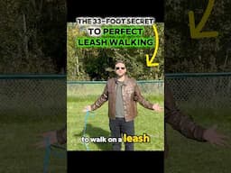 The little-known secret to perfect leash walking 🤯 #dogtrainer #dogtraining #dogtrainingrevolution