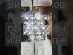 вислобокова обман