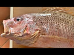 Fingermark Bream