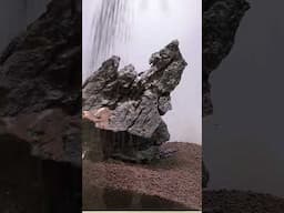 Advice for Iwagumi Aquascapes