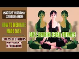 Meditation For Beginners | Day 5: Rewiring Your Neural Pathways