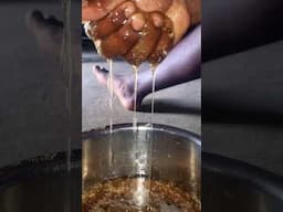 Honey bee ll short funny video