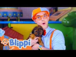 Blippi's Puppy Playdate | Blippi's Stories and Adventures for Kids | Moonbug Kids
