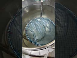 Cooking Lures?