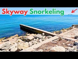 Snorkeling Structure Near the Skyway Bridges