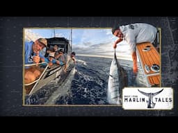 The Best Marlin Fishing We've Ever Had! | 2025 Marlin Tales: Episode 1