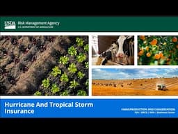Hurricane and Tropical Storm Insurance Webinar