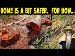 Aussie Garden Tour with Venomous Snake, Deadly Trees & Kangaroos