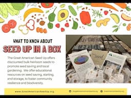 Great American Seed Up in a Bundle Explainer