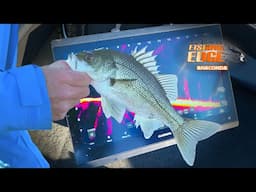Livescope Basics: Garmin Livescope set up and learn how to use forward facing sonar