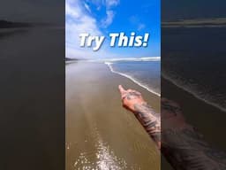 You Have To Try This At the Beach! 😱 #animals #nature #shorts