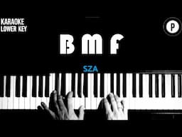 BMF - SZA KARAOKE LOWER KEY Slowed Acoustic Piano Instrumental Cover [MALE KEY]