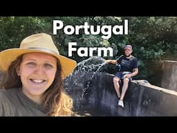 Living Off Grid - Changing our land for the future!