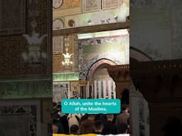 Duʿa in the blessed month of #Ramadan at the sacred Masjid al-Aqsa #Allah #Aqsa #Dua #Prayer #Dhikr
