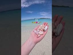 Have you tried this? 🐠🌺🌴