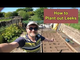 How I plant out Leeks.
