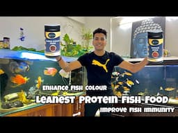How to enhance fish colour | How to Improve Fish immunity | Teraa Cichlid Food | Teraa Pellets