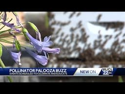 Pollinator Palooza happening this week in Savannah