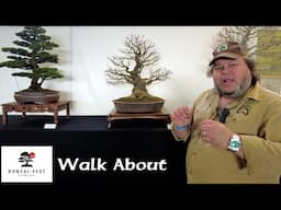 Bonsai Fest 2025 walk about - Greenwood Bonsai