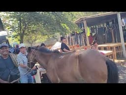Cuidado con la Brava en El Tránsito San Miguel El Salvador On