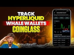 Track HYPERLIQUID WHALES WALLETs on COINGLASS