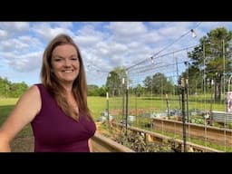🌸 Full Garden Tour - Week TWO & THREE 2025 | Garden Zone 9A | Fields Full House 🥕