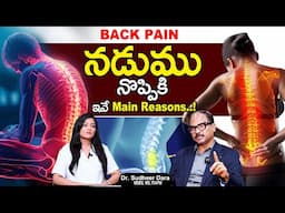 BACK PAIN : Cause Of Back Pain | Reason's & Fact's About Back Pain By Dr. Sudheer Dara