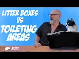 Don't Worry About Litter Boxes for Your Cats - Think About Toileting Areas Instead