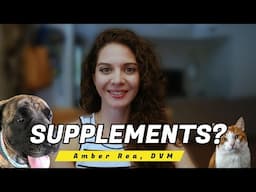 Supplements for Pets: Key Things to Consider Before Choosing