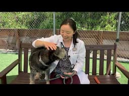 Get To Know Dr. Lee from The Drake Center