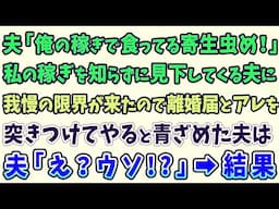 【スカッとする話】夫「俺の稼ぎで食ってる寄生虫め！」私の稼ぎを知らずに見下してくる夫！我慢の限界が来たので離婚届とアレを突きつけてやると…青ざめた夫「え？ウソ！？」