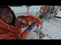 Hunting for Rockfish on a Snowy Day! | Fishing Black Rockfish in Alaska