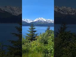 Alaska - Seward Overlook! #travel #alaskatravel #mountains