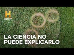 Ovnis y método científico: Los expertos revelan sus investigaciones – ALIENÍGENAS ANCESTRALES