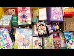 55 MYSTERY SURPRISE TOYS ASMR Unboxing Mystery Boxes NO TALKING