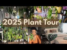 2025 Indoor Plant Tour 🌿 | Cozy Jungle Aesthetic