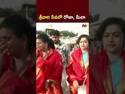 Actress Meena & RK Roja Visits Tirumala Tirupati | NTV Telugu