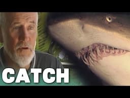 Dangerous Waters: Confronting a Tiger Shark | Catch