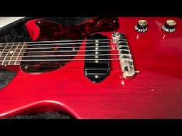 Homeskoolin’ Bonus, “Some Fuggin’ Cool Old Guitars 4 Sale”