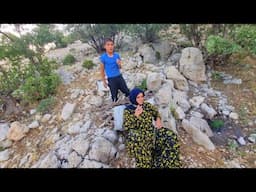 "Gathering Firewood: A Nomadic Woman's Struggle to Survive in the Mountains"