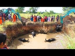 Miraculous rescue! Villagers push their limits to save Angry Elephant drowning in a Deep well