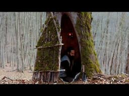 The Hidden Nest (deep inside a great OAK tree)