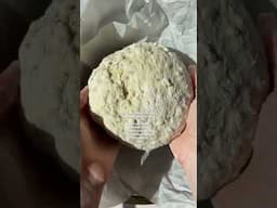 no knead artisan bread with oats and seeds