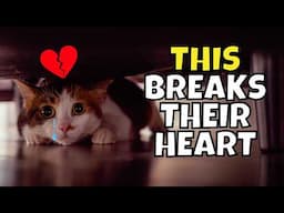 20 Everyday Things That Break Your Cat's Heart