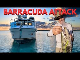 Tiny  Floating Home - Barracuda Attack: A Cautionary Tale- Ep 72