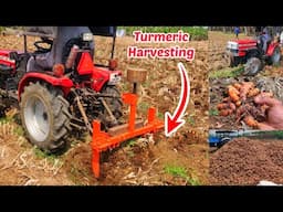 Turmeric harvesting | VST Sakthi MT 270 DI Virat 4wd Mini Tractor performance | Agriculture INDIA
